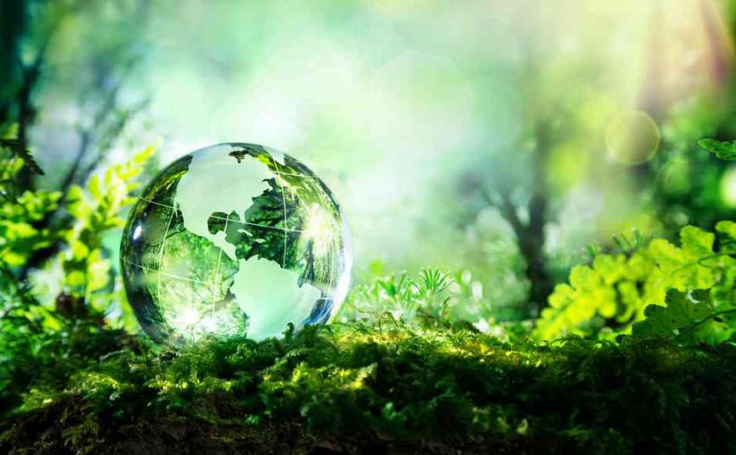 L’écologie, un engagement au Rialto 